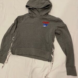 Chicago cubs Hoodie with Embroidered Logo